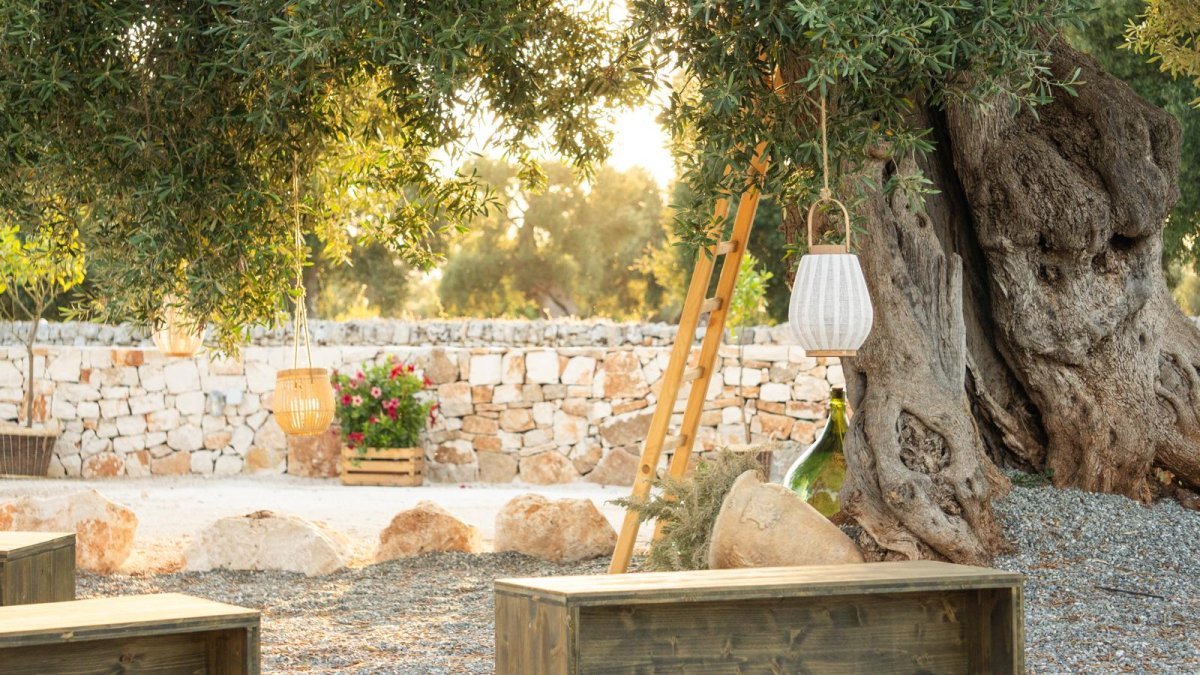 Ingresso Uliveto Loparco